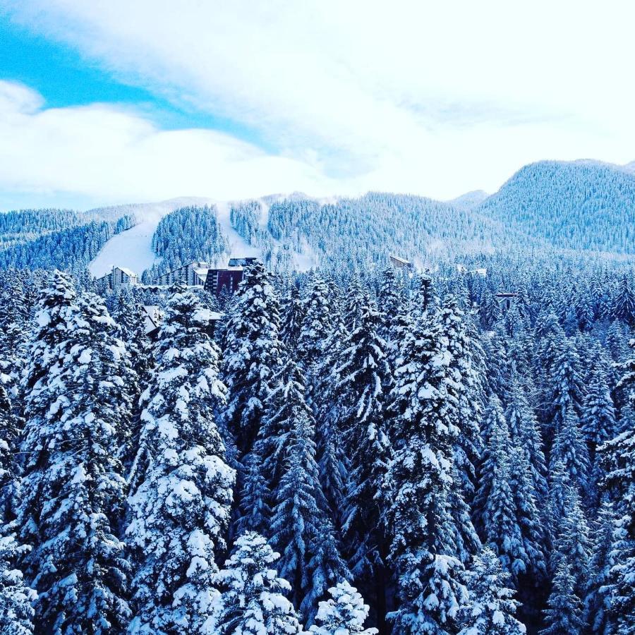 Mountain Paradise In Aparthotel Borovets Gardens Экстерьер фото