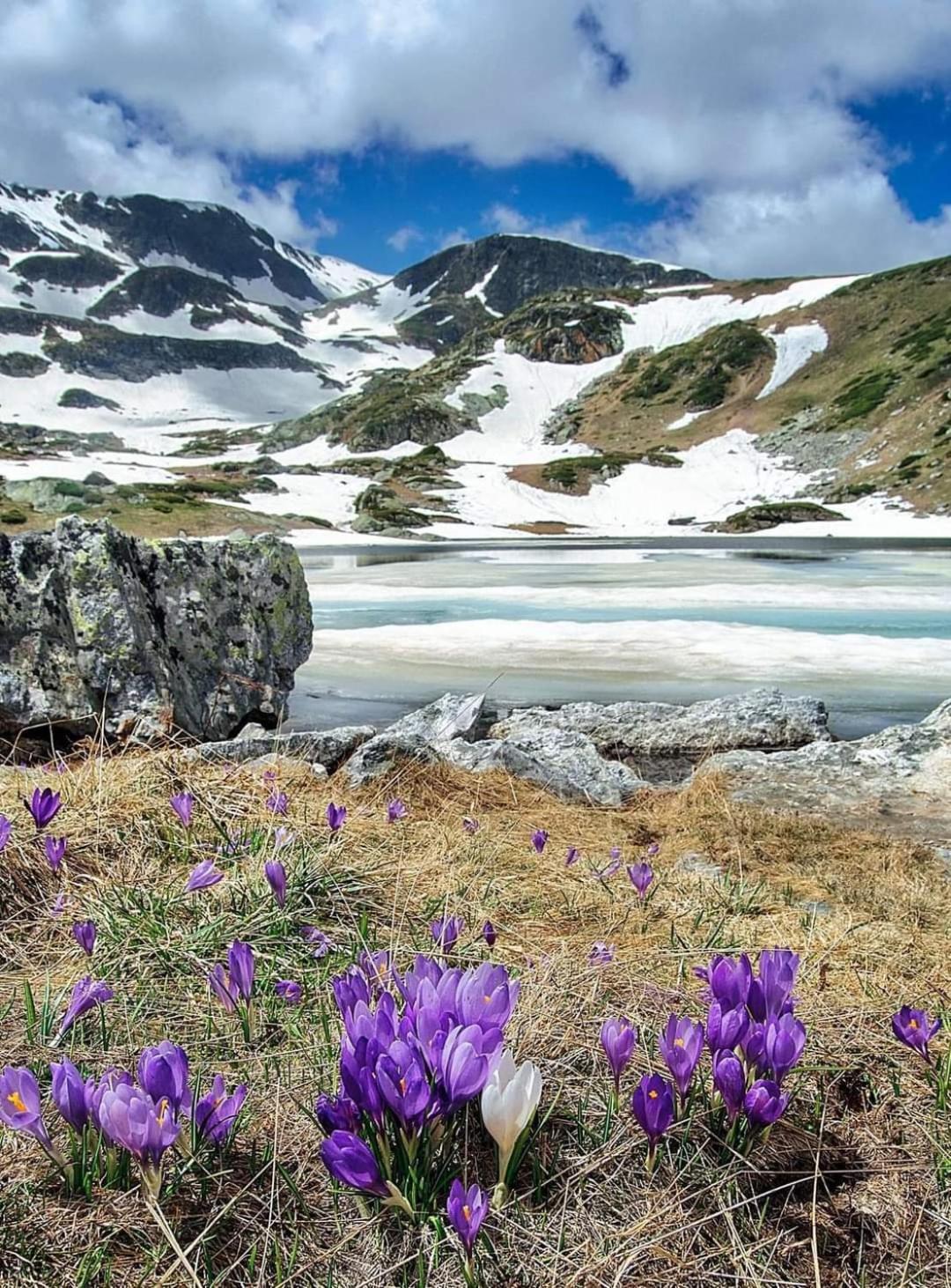Mountain Paradise In Aparthotel Borovets Gardens Экстерьер фото